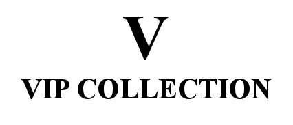 logo_VC1.jpg