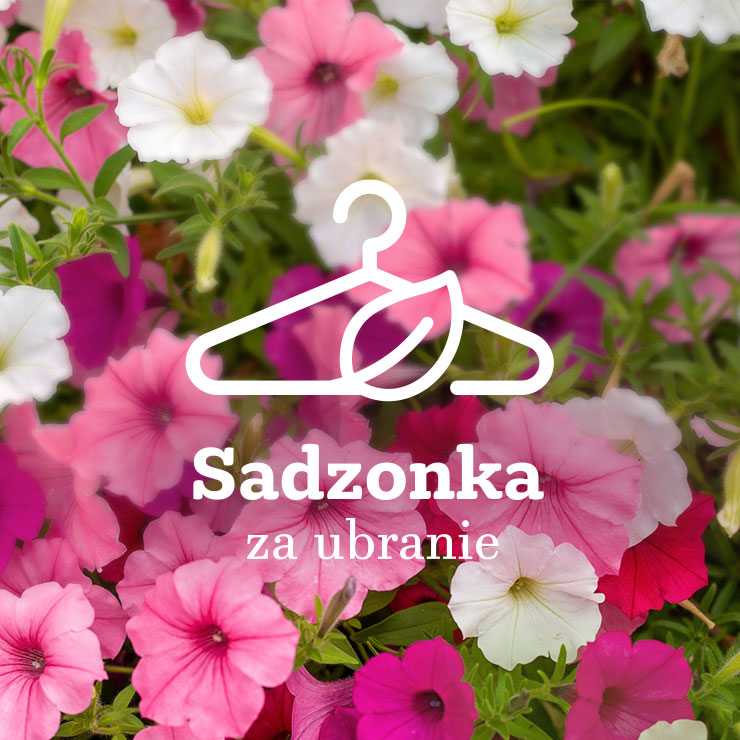 DO_Odbierz_Sadzonke25_Teaser-third.jpg